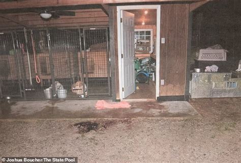 Chilling photos reveal bloody crime scene where Maggie and ...